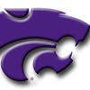 Stylized purple wildcat head emblem